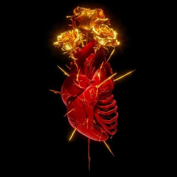 Image for DANCE