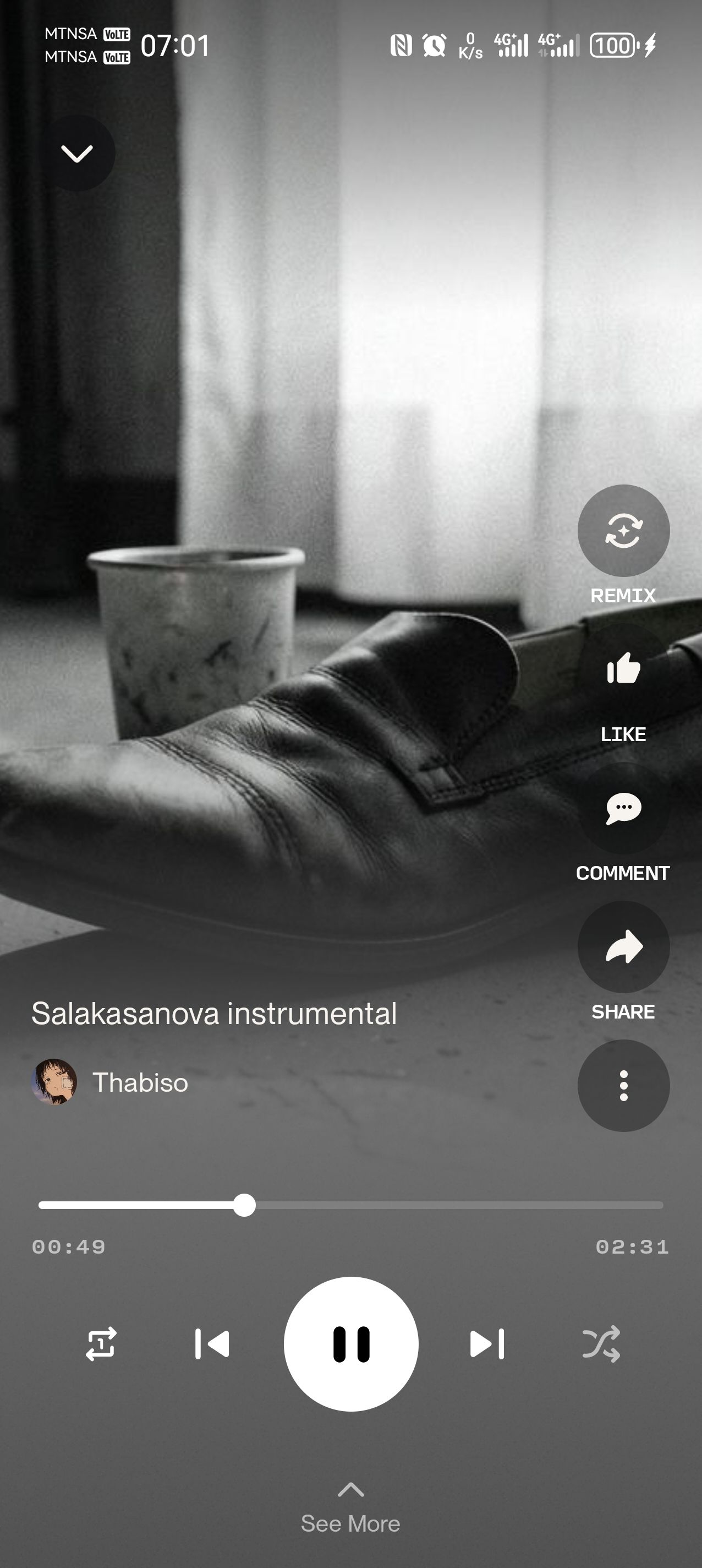 Salakasanova instrumental artwork