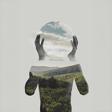 Image for Fragmento Revelado