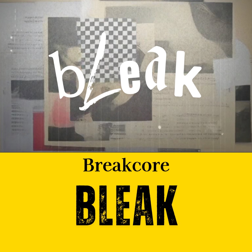 bLeak artwork