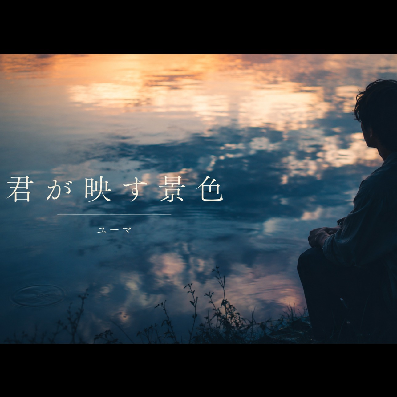君が映す景色 artwork