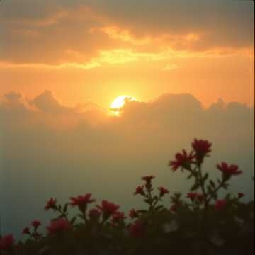 Image for It's Been Tough