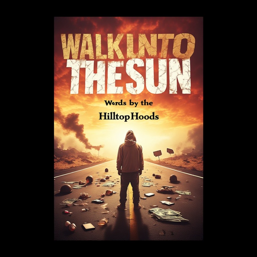 Walk Into The Sun (50 in 5 Cover) artwork
