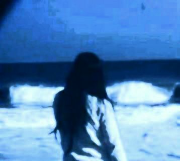 Ocean Blue (Instrumental) artwork