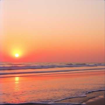 Image for Anna Griffin's Album