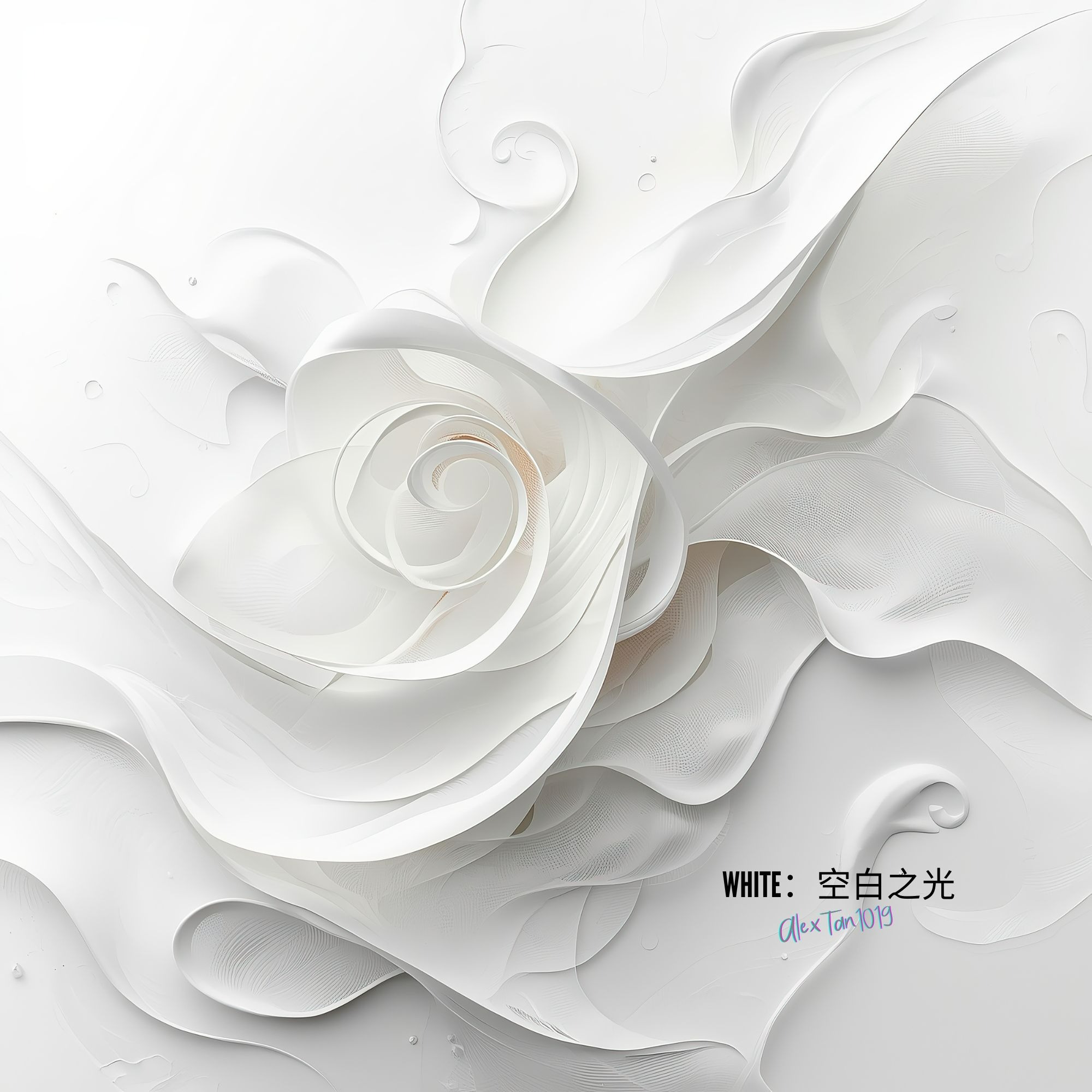 Image for WHITE：空白之光
