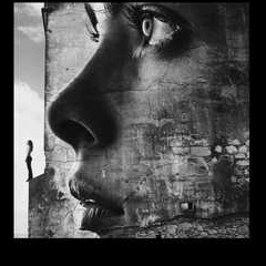 Image for ✨ Best of the Best ✨