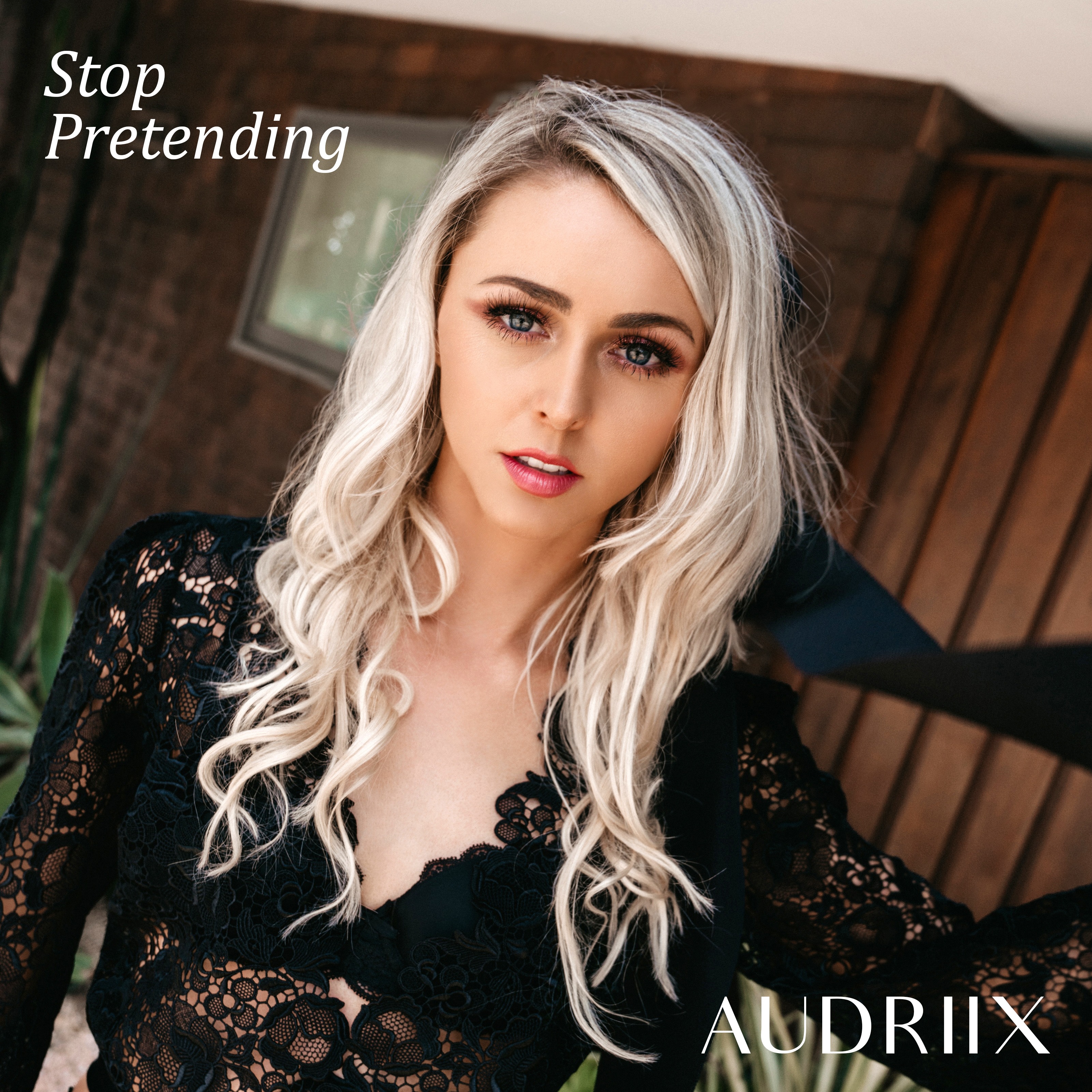 Stop Pretending artwork