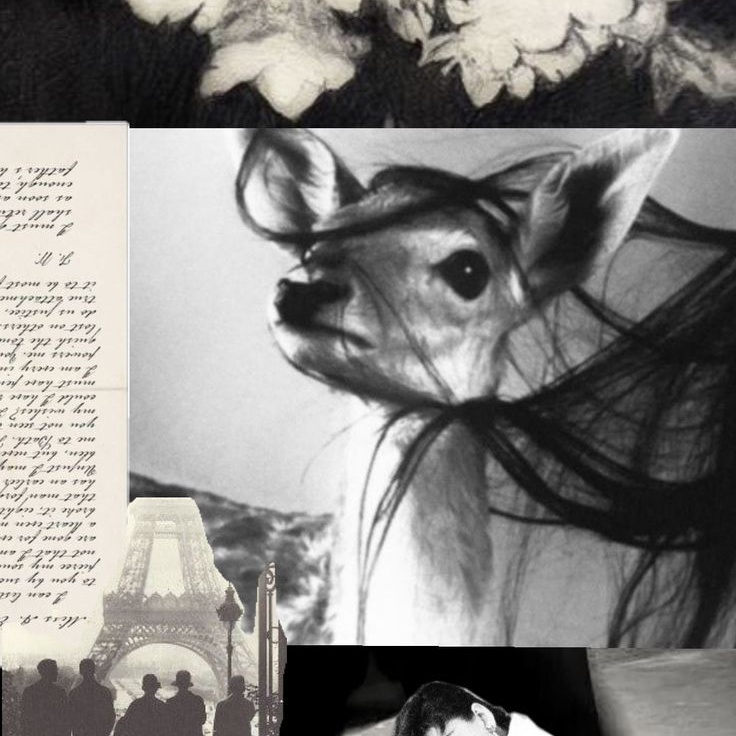 Image for 𝘱𝘪𝘦𝘤𝘦 𝘰𝘧 𝘮𝘪𝘯𝘥.