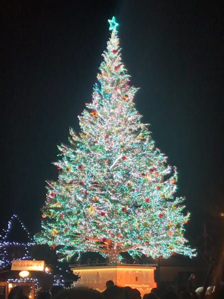 Image for merryXmas🎄🎅✨