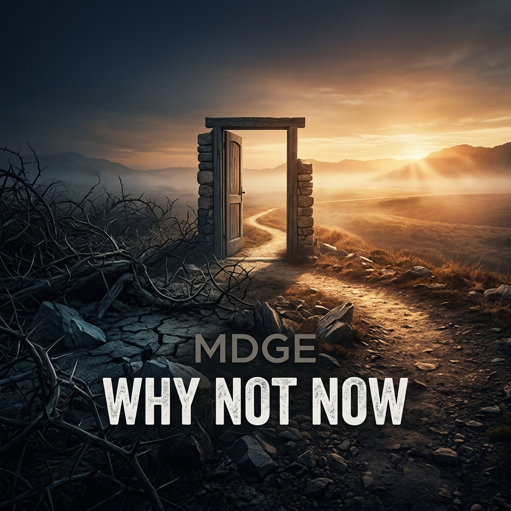 Why Not Now (Beta) artwork