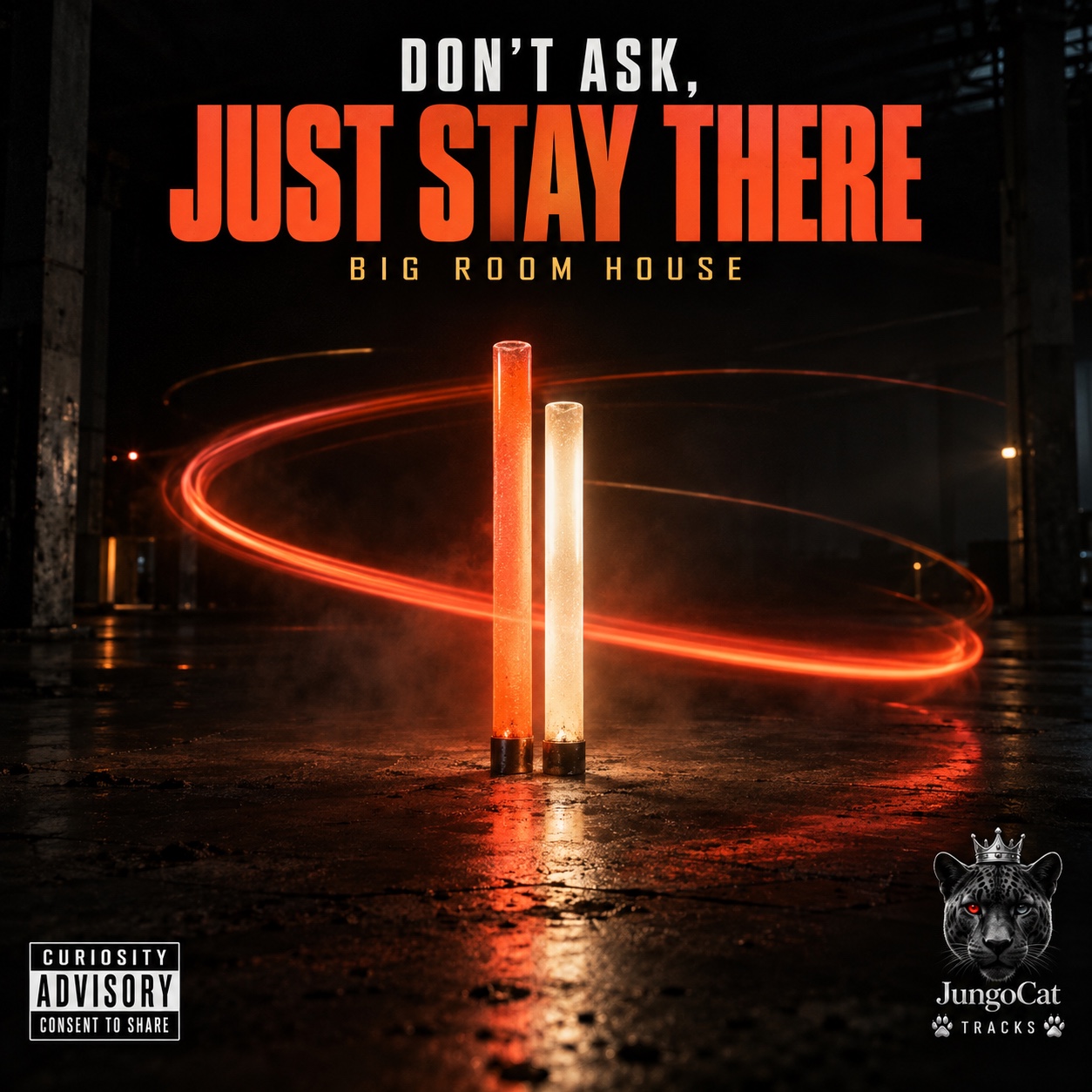 Don't Ask, Just Stay There artwork