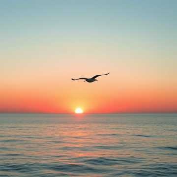 Image for Сердце в пятках