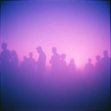 Image for SUNSET VISION COLLECTIVE