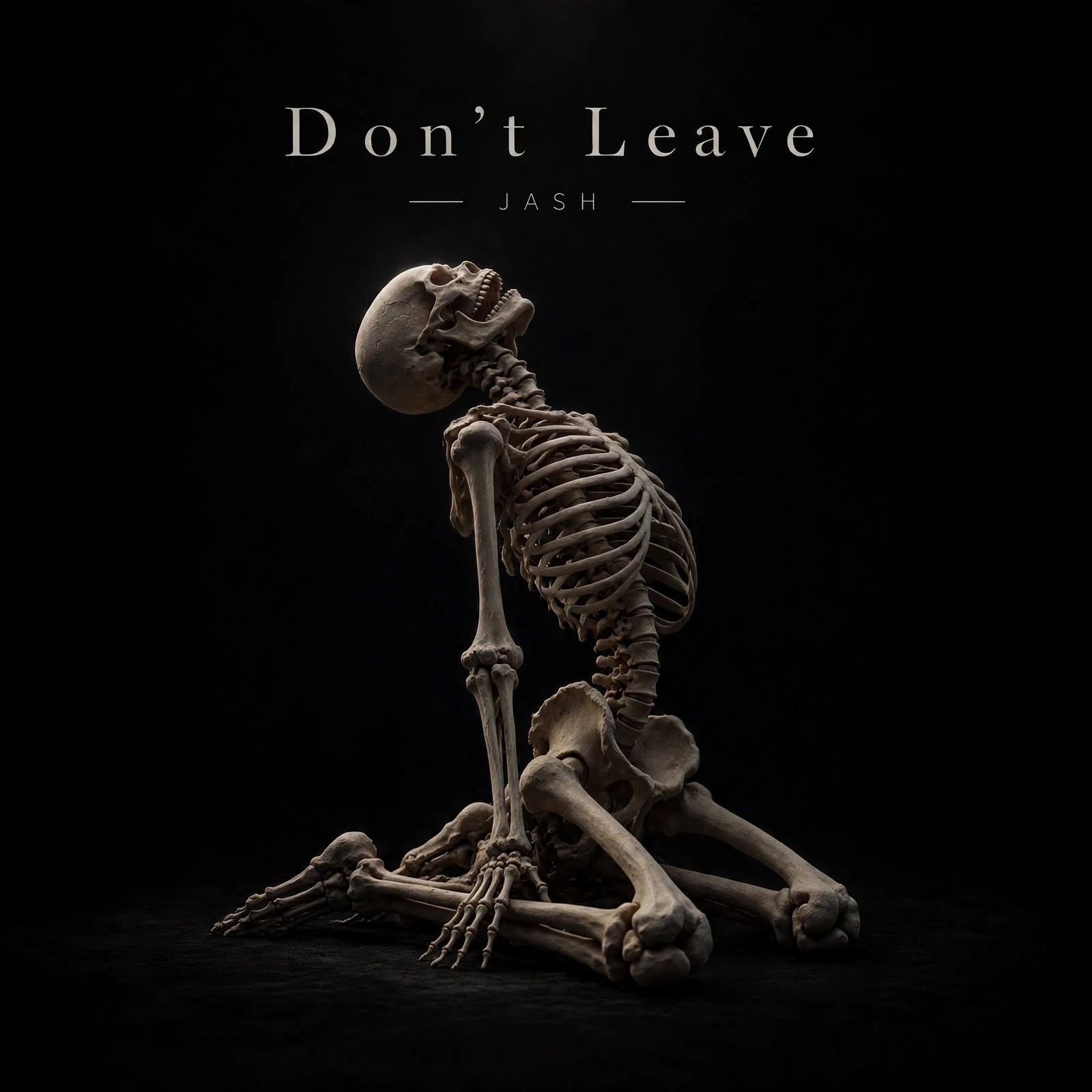 Don’t Leave cover art
