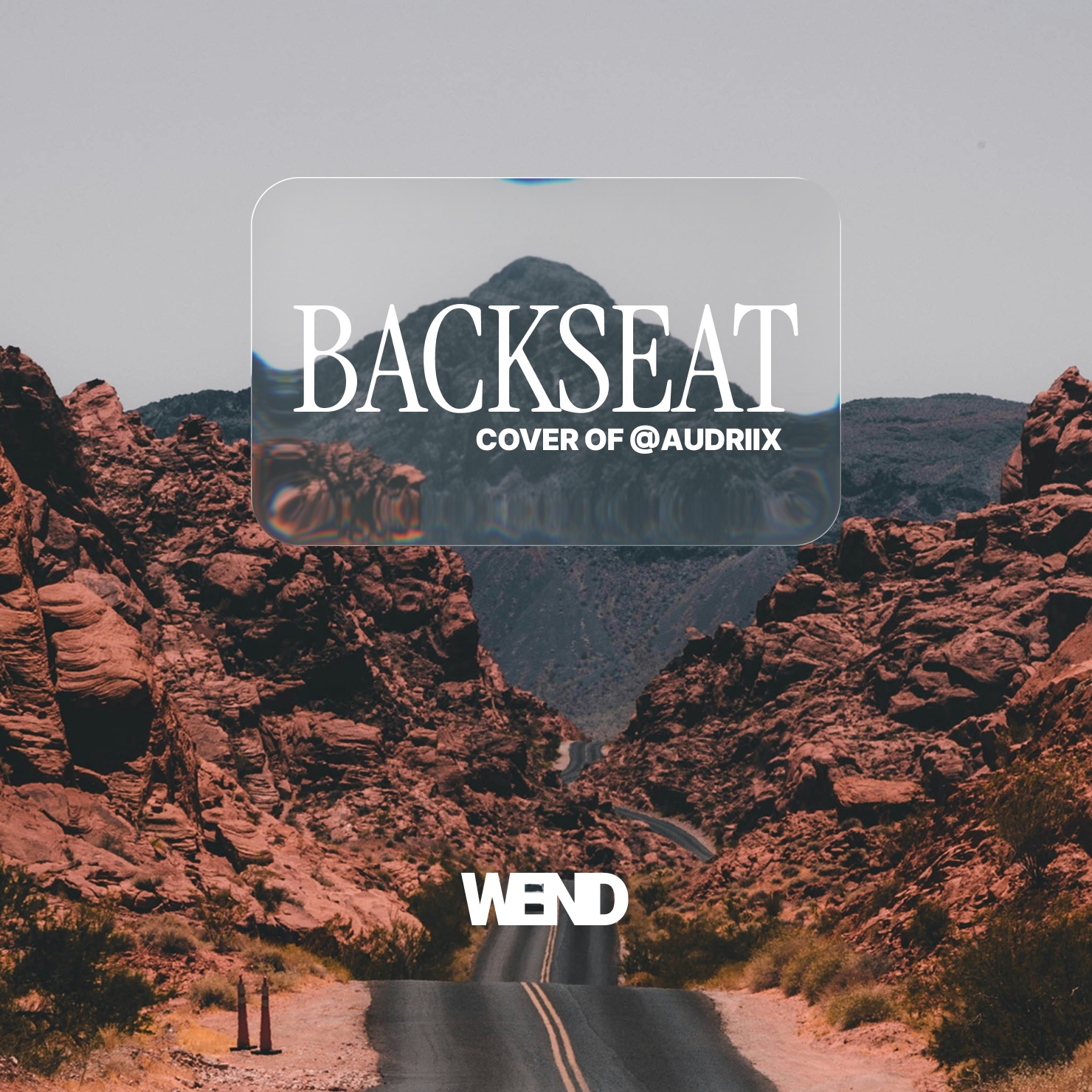 Image for Backseat Remixes