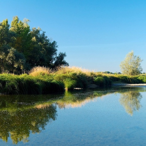 ballade sur les bords de la Loire artwork