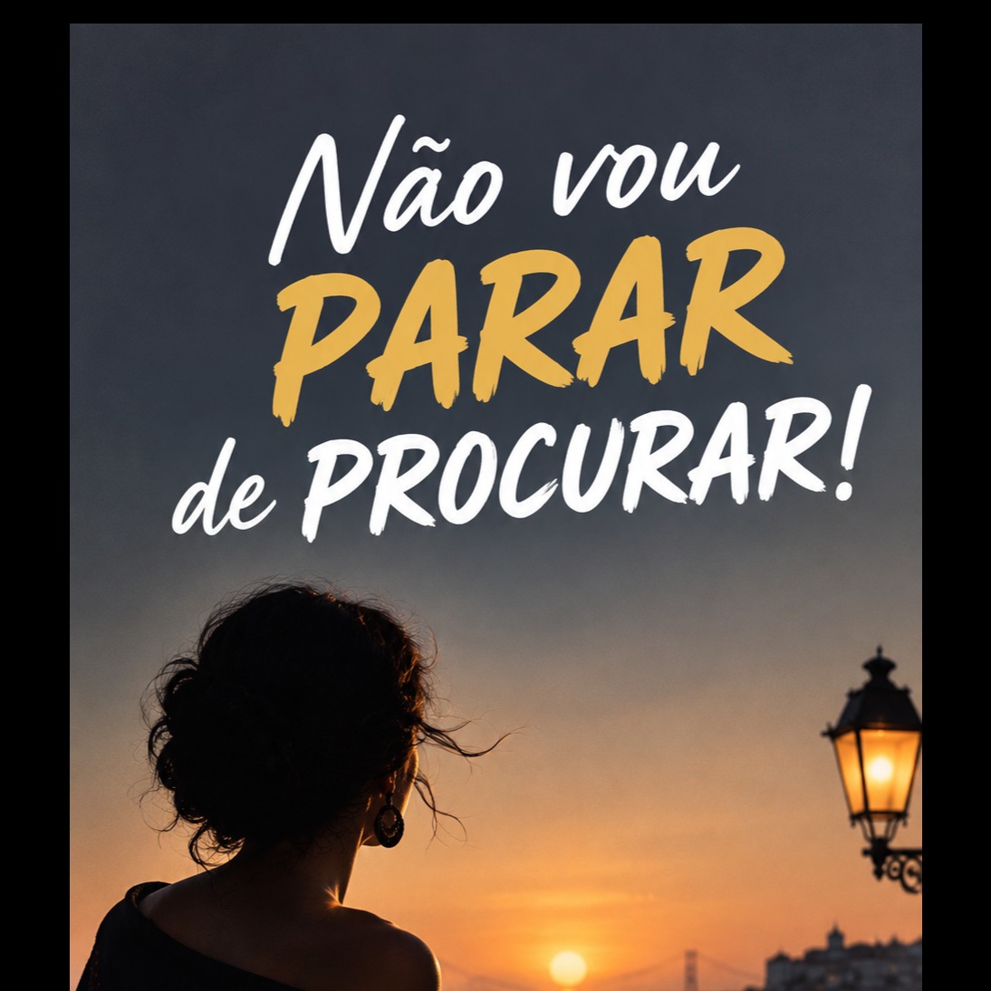 Não vou PARAR de PROCURAR! artwork