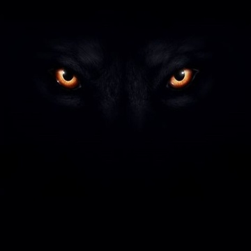 Playlist cover art