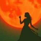 Image for My favorites