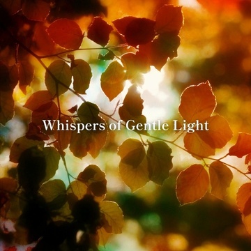 Image for Whispers of Gentle Light