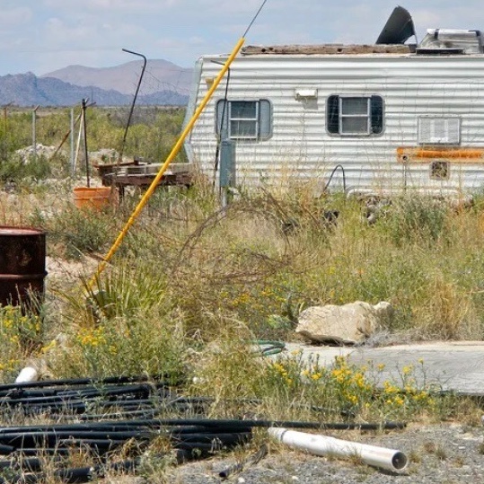 Image for White Trash