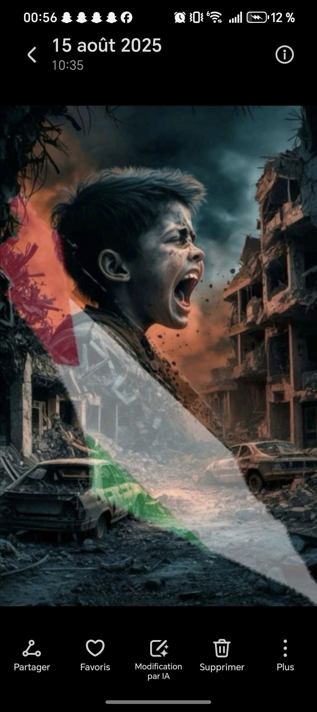 Palestine, Terre de Souffrance artwork