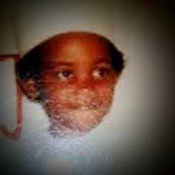 Image for Lost umbrella