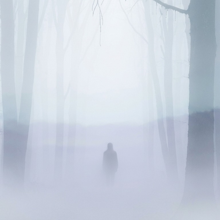 霧層 artwork