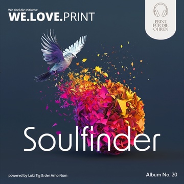 Image for Soulfinder
