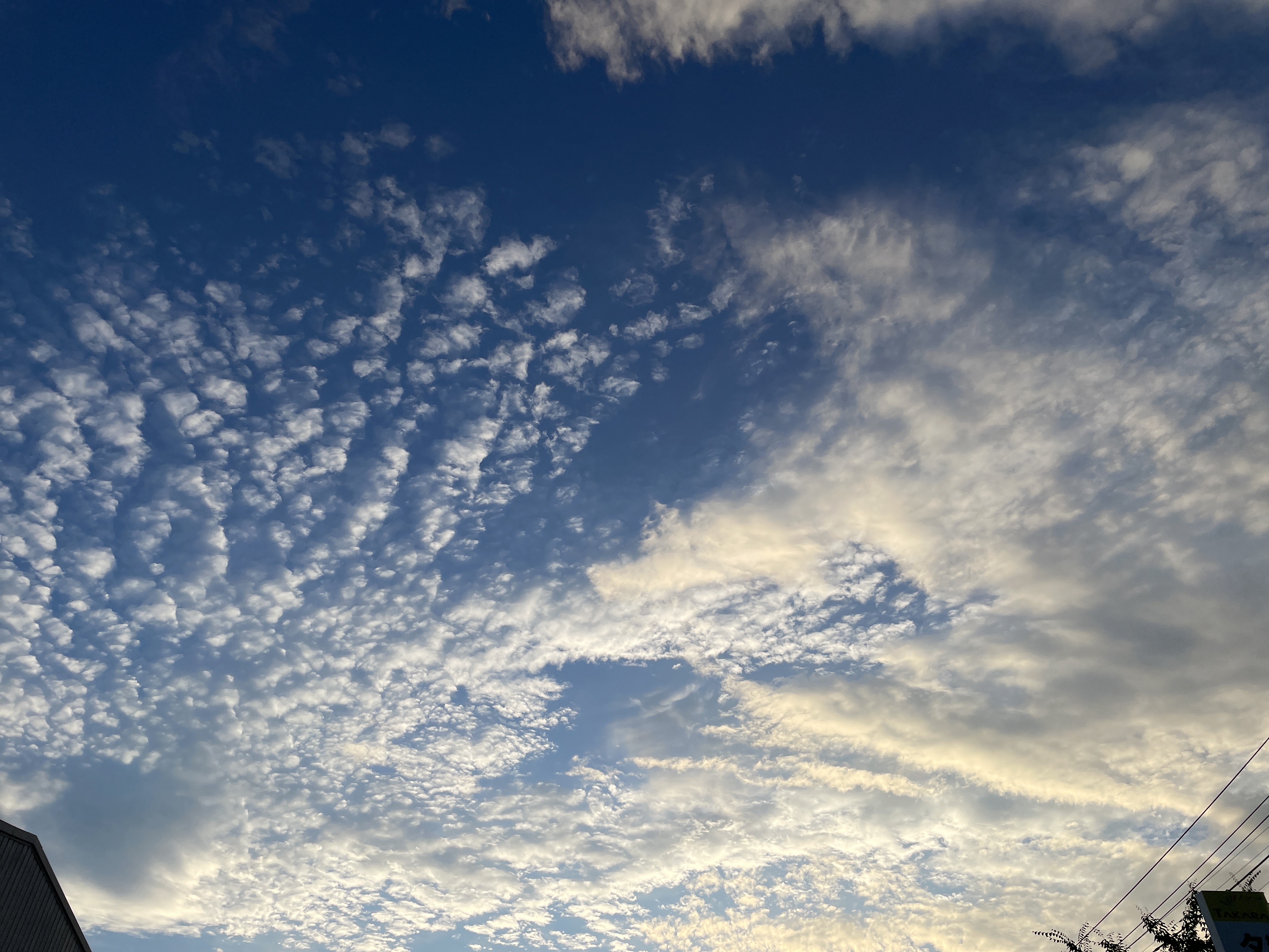 Voice image for Untitled Persona