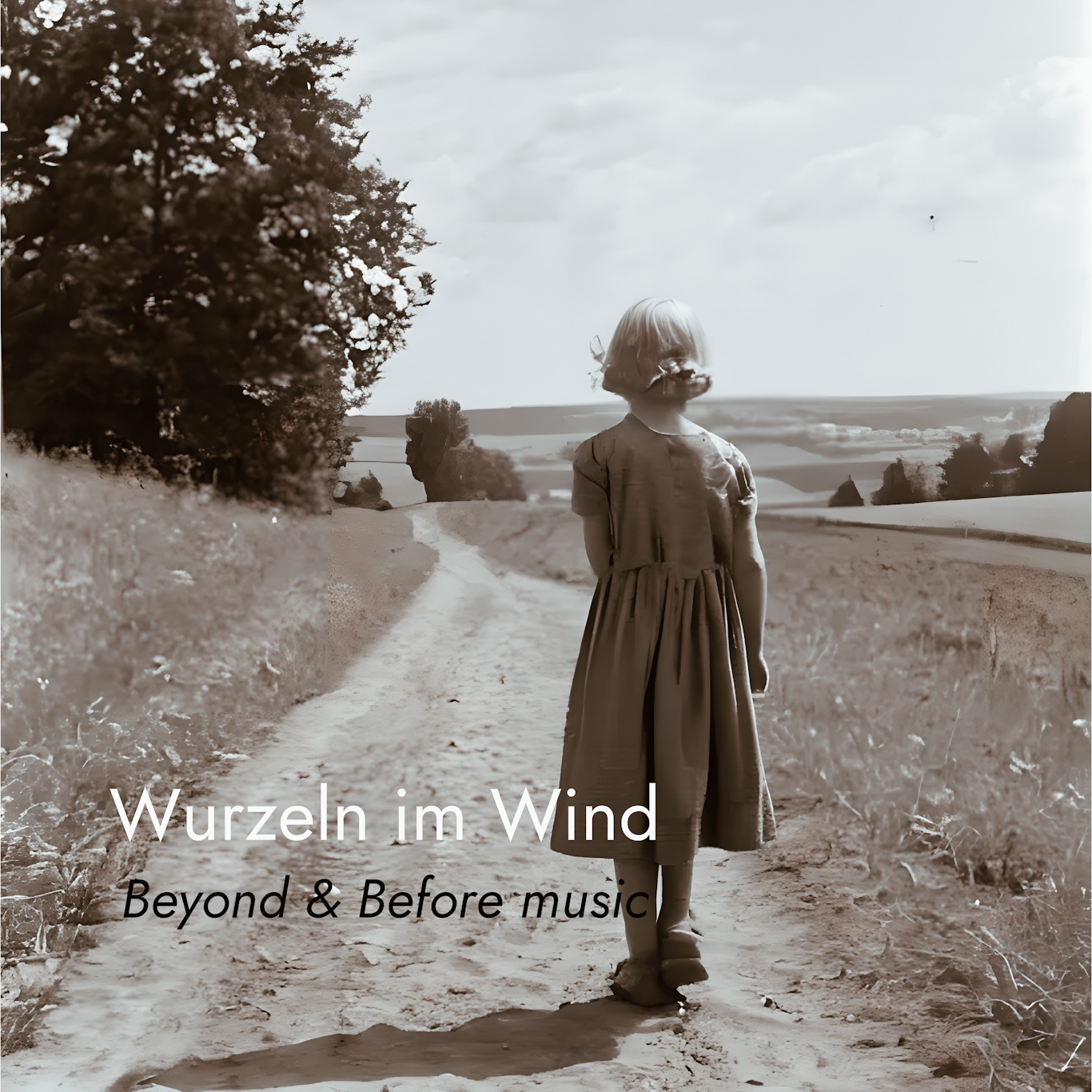 Image for Wurzeln im Wind (Buch Eins)