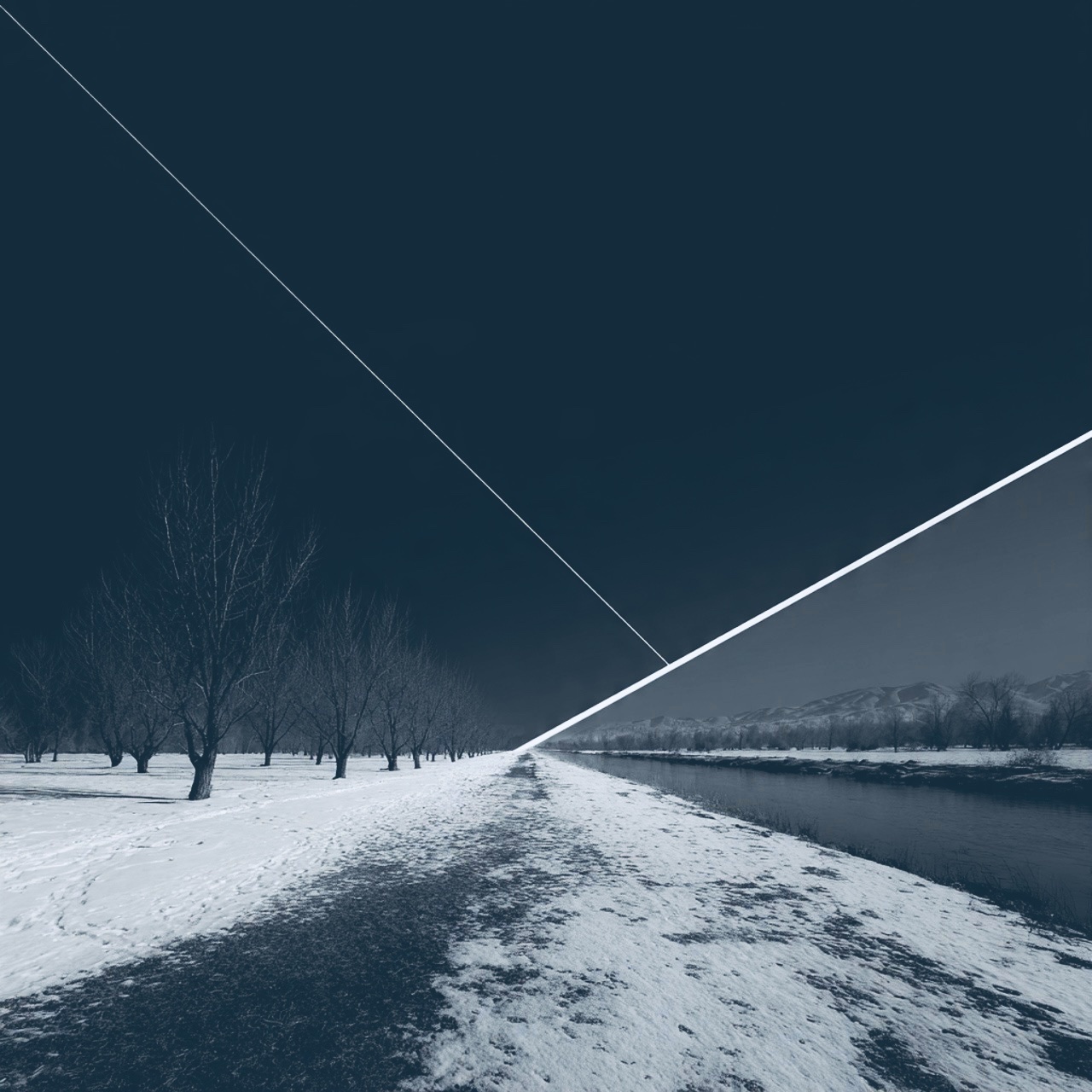 The Lines We Share artwork