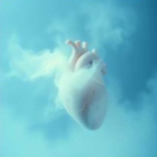 Image for White Knuckles [Singles]