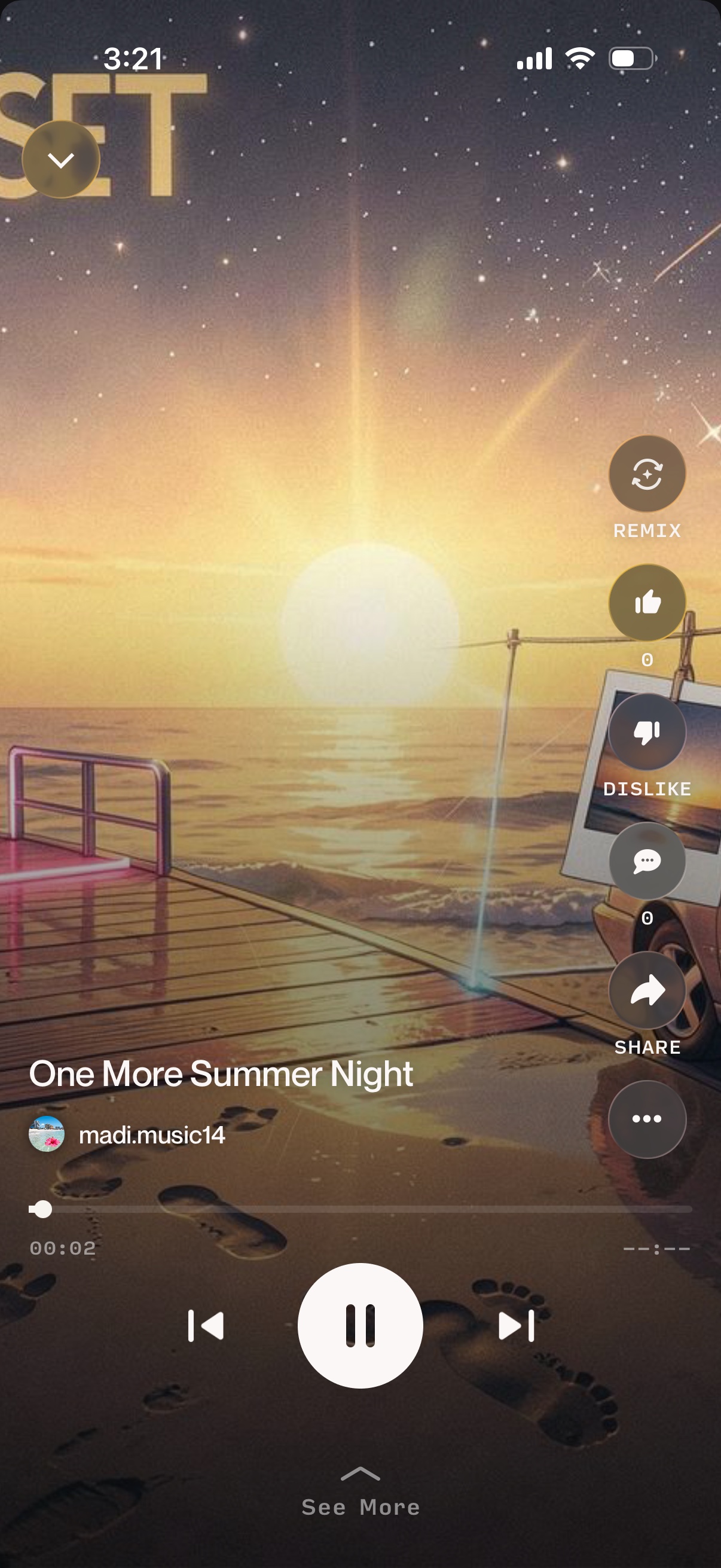 Polaroids in the Sun artwork