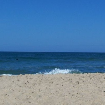 Image for Non-Aggressive + Calm Backrooms OST