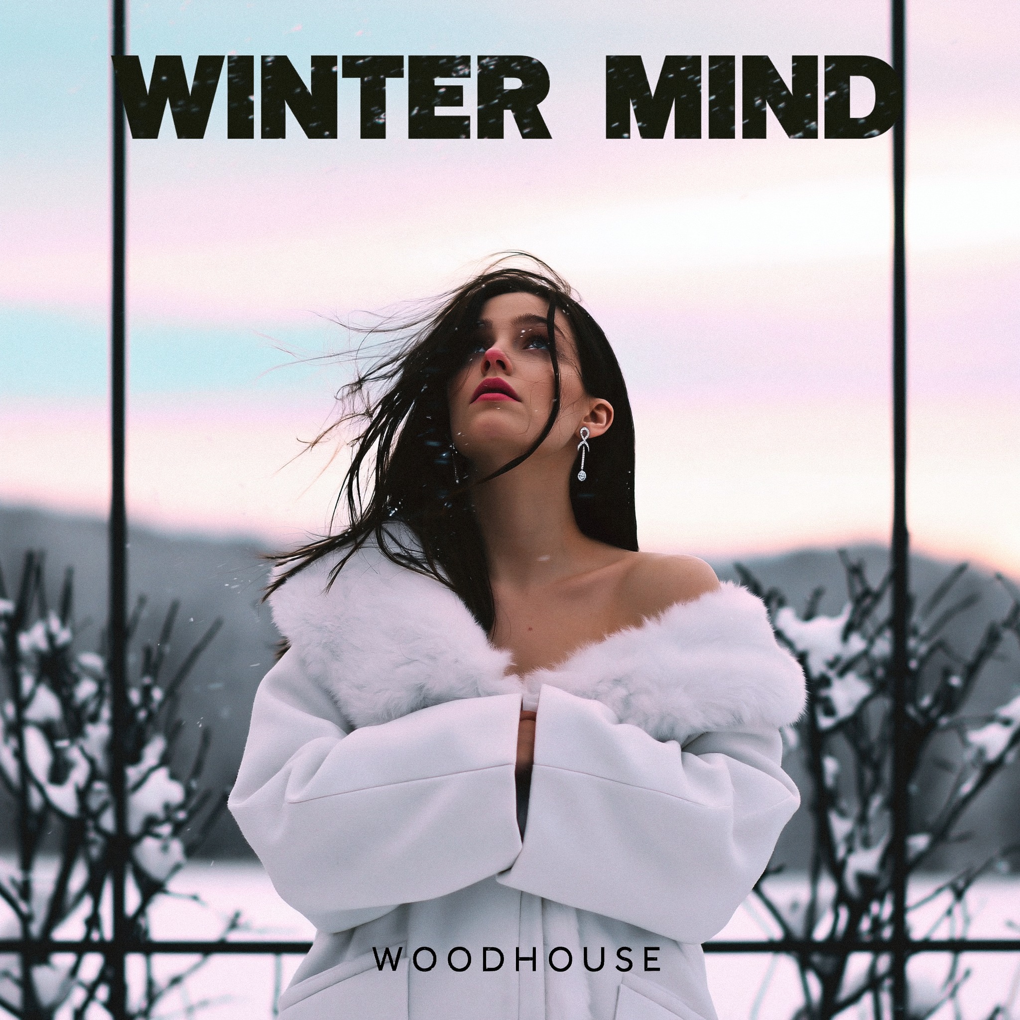Winter Mind artwork