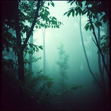 Image for celtic instruments relax