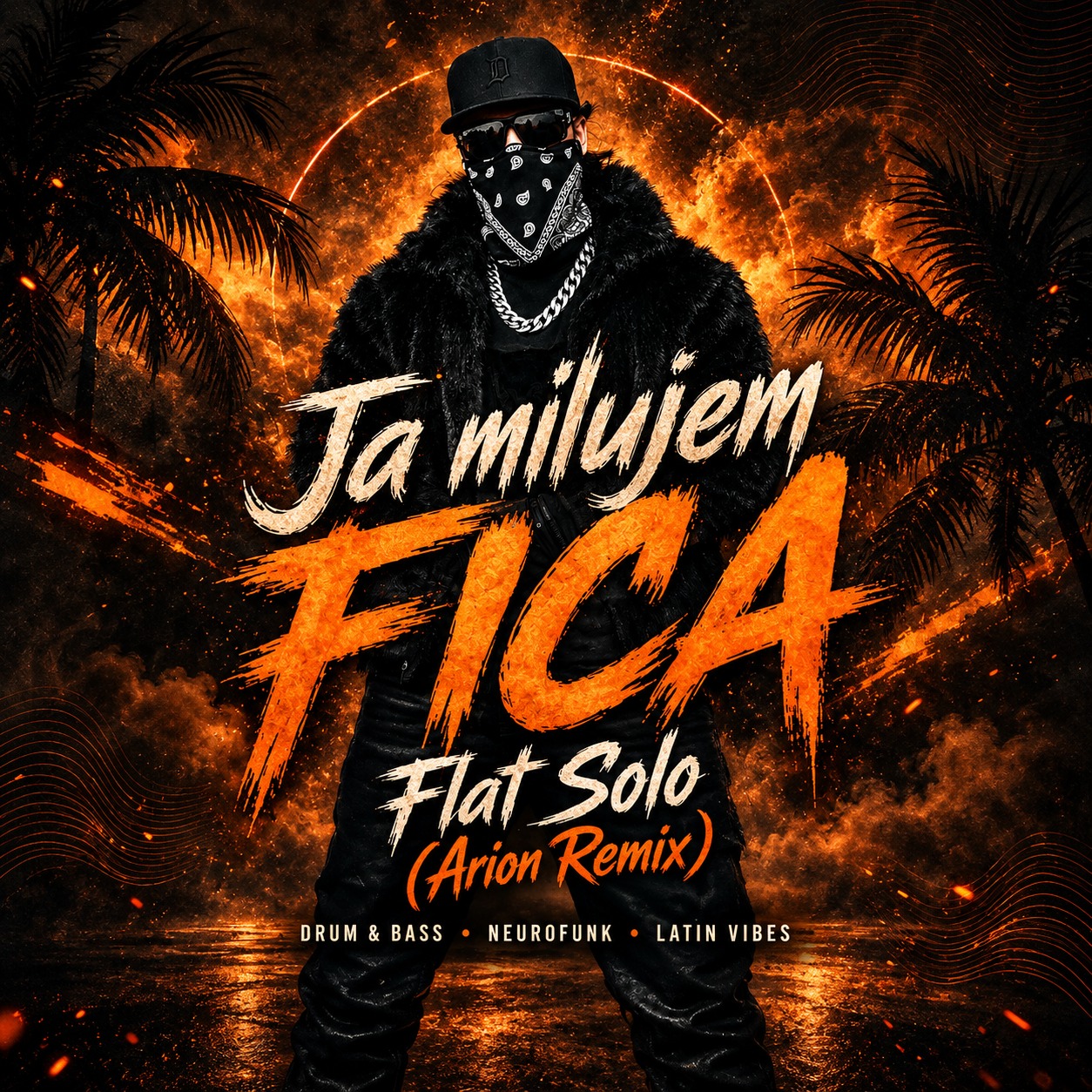 Ja Milujem Fica - Flat Solo (Arion Remix) artwork