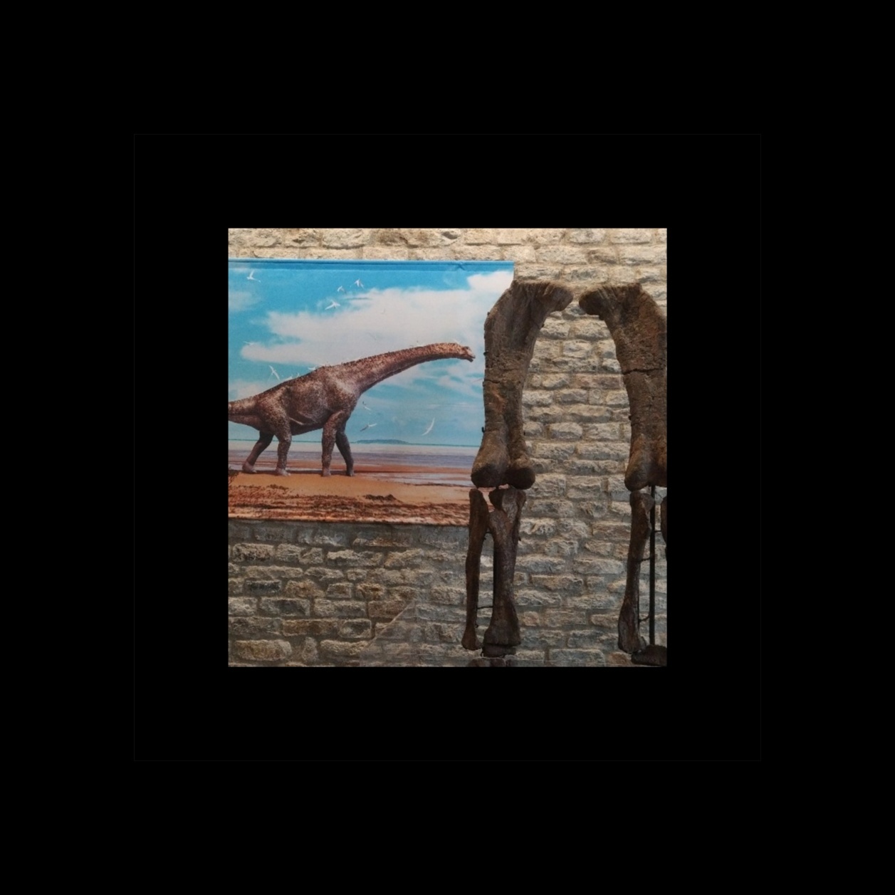 Image for Una ola nocturna