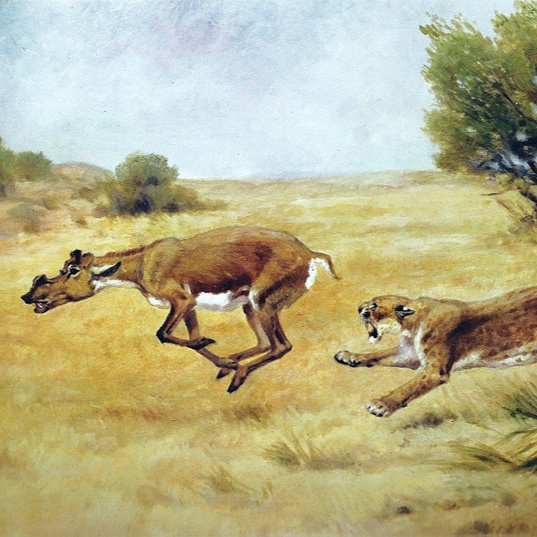 Persona image for White River