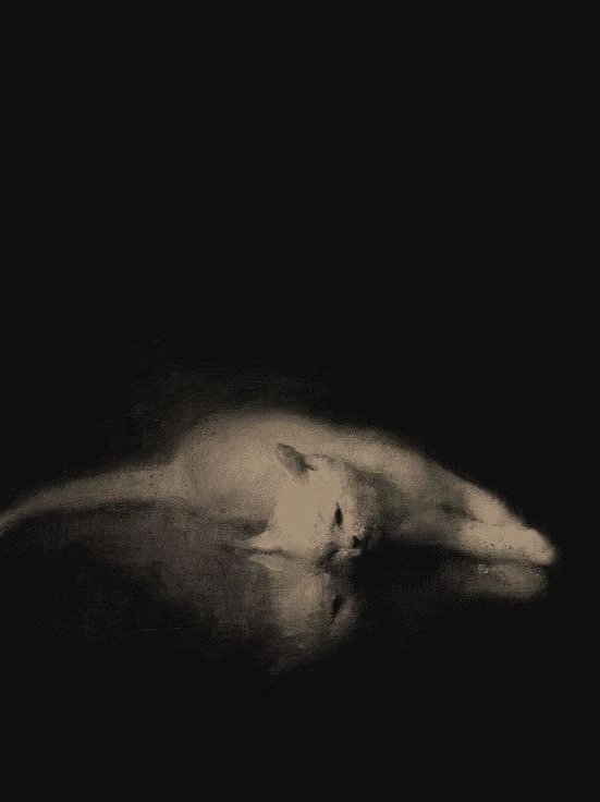 cry[v1] artwork