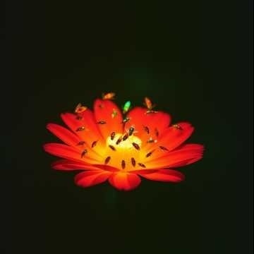 Image for Каверы и ремикс и песни с челленджей 