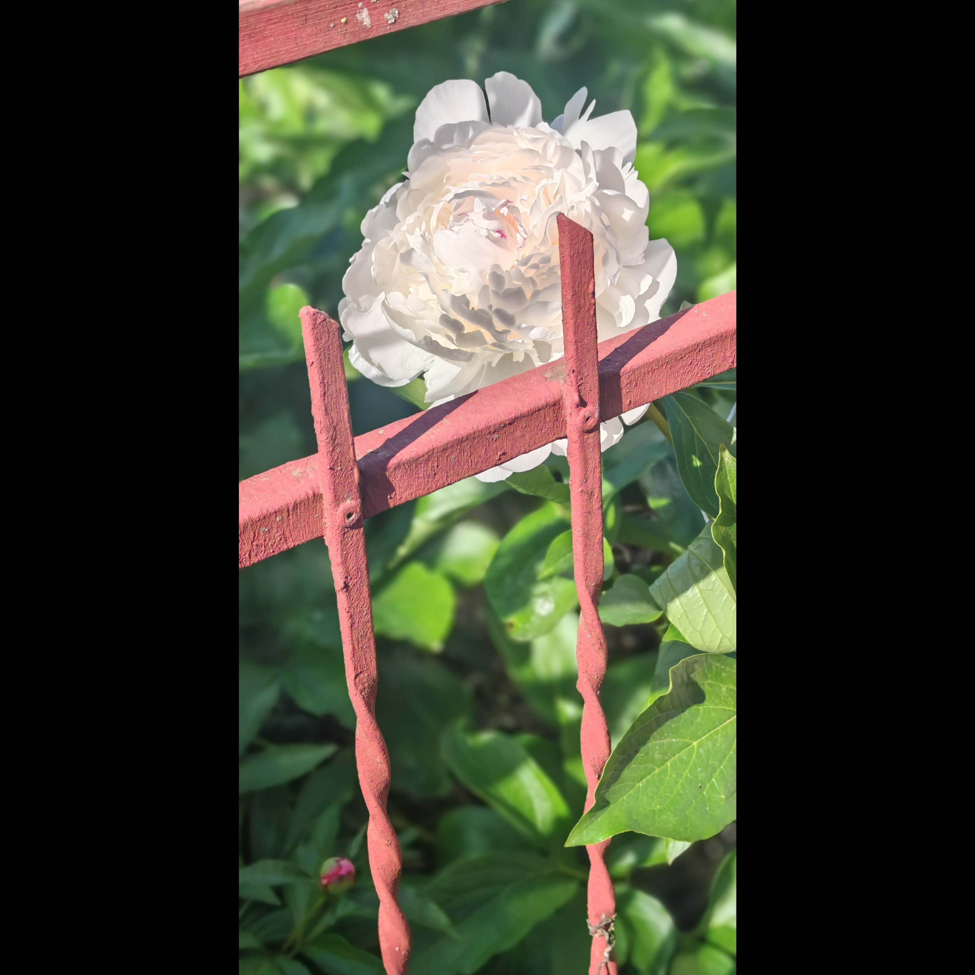 Bending leaves artwork