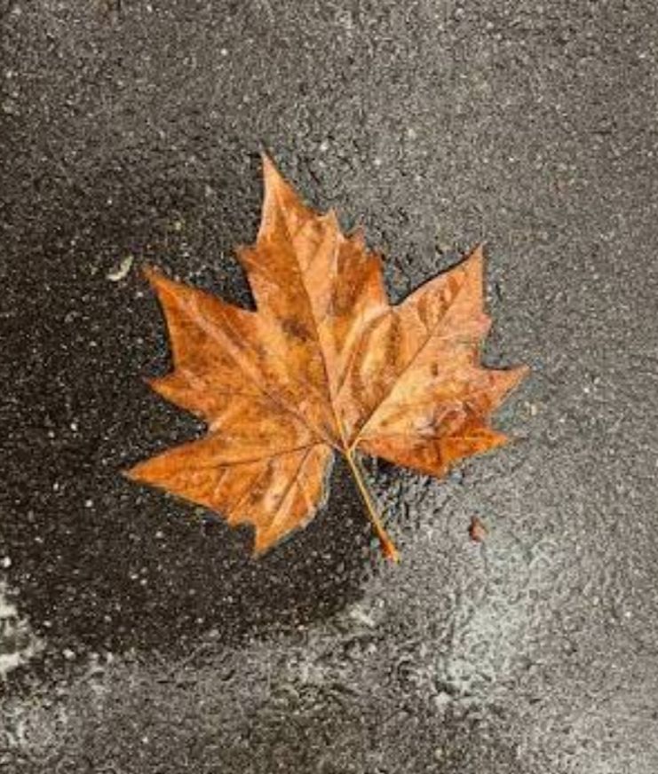 Eugene Bro - Sad Autumn (instrumental) artwork