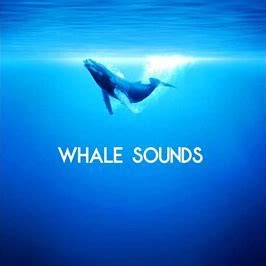 Playlist cover art