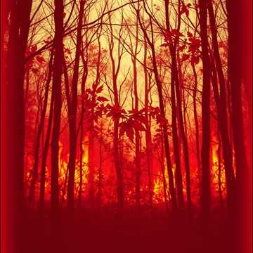 Image for Lov'Hers - Collection N°1