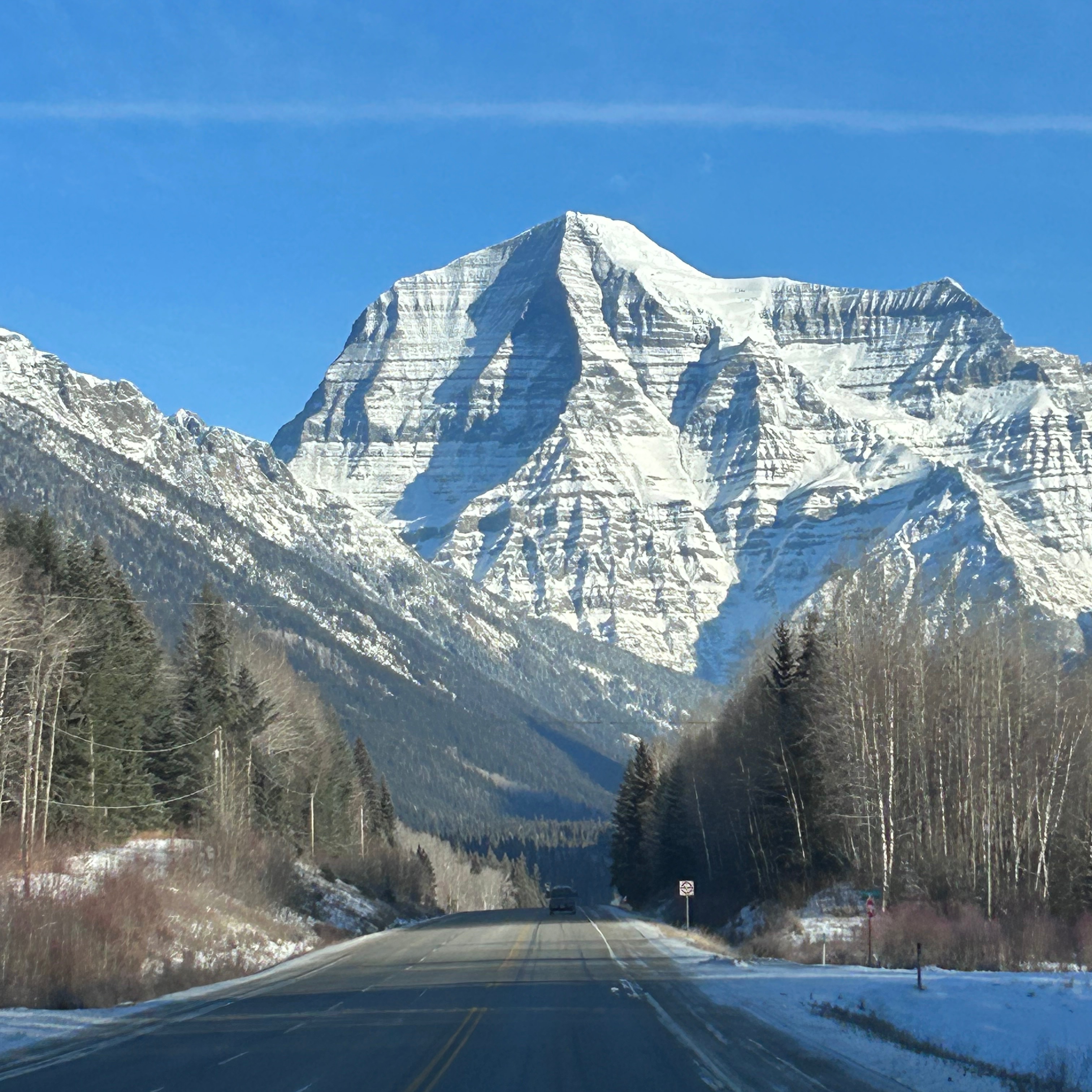 Image for Female Voice my lyrics