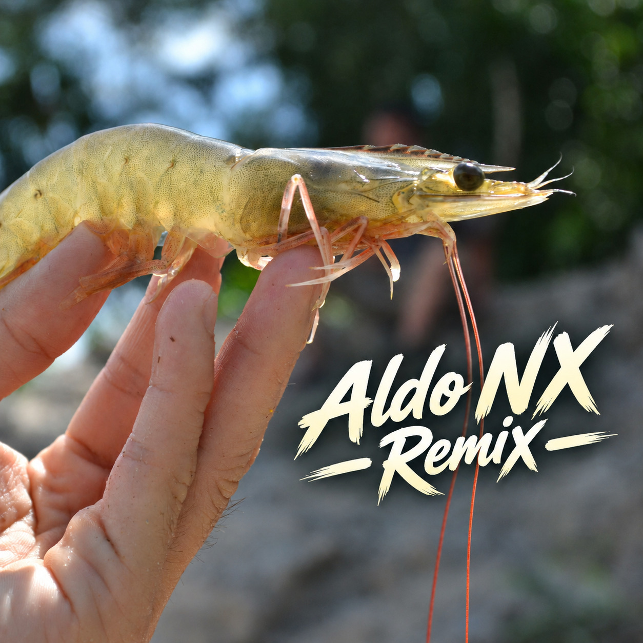 Cosmic Shrimp — Aldo NX Remix artwork