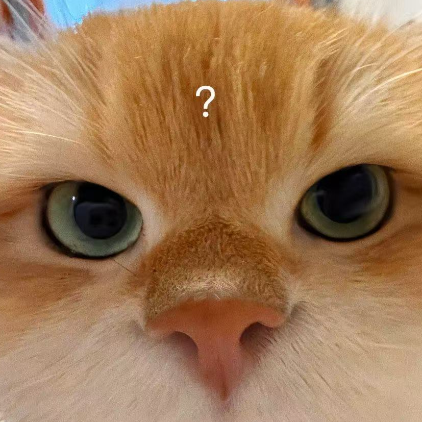 Profile picture for Caqybara